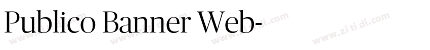 Publico Banner Web字体转换